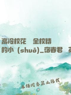 高冷?；S為全校精靈的小說(shuō)